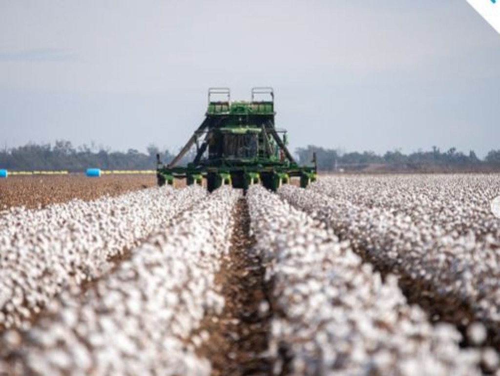 Border rivers property Boongargil during harvest season. Picture: Instagram.
