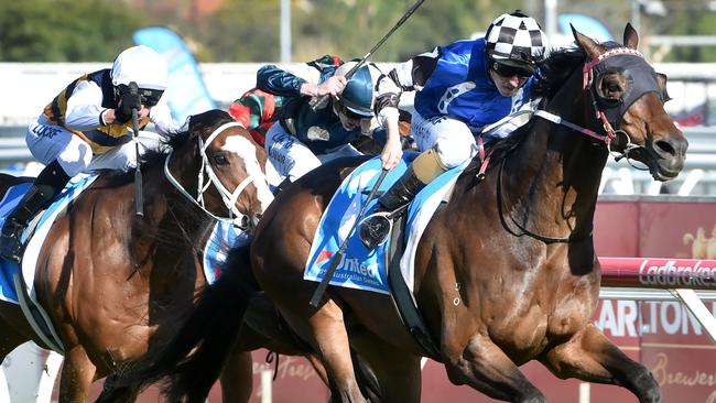 Tosen Stardom was a dominant winner of the Toorak Handicap. Picture: Jay Town