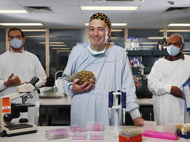 Professor David Morris in his lab with some of his researchers in St George Hospital in Kogarah today. L to R, Ahmed Mekkawy, Prof David Morris and Javed Akhter. Picture: Sam Ruttyn