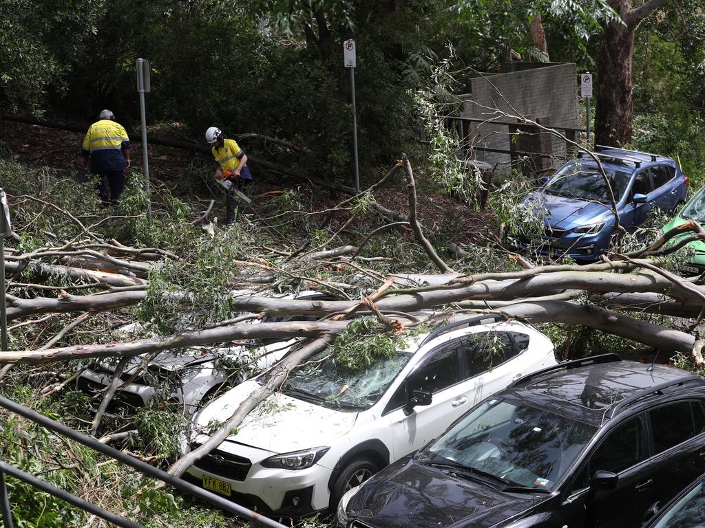 A storm has ripped through the north shore damaging trees &amp; cars here in Dumaresq st Gordon the damage is evident. Picture: John Grainger