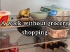 'We can't afford to do a grocery shop this week'