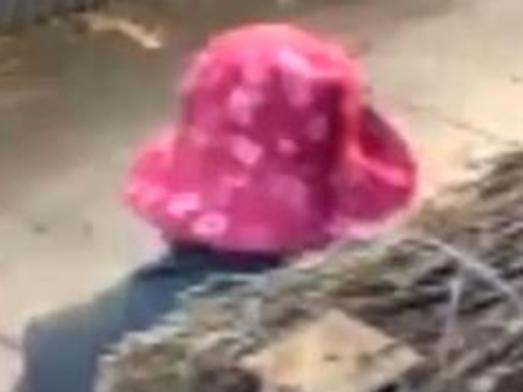 Adelaide’s “Driveway Defecator” strikes again at Norwood – security footage captures the bizarre act