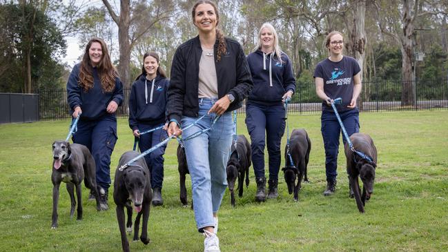 Fox said dogs with dark coats deserve a home just as much as their lighter-coloured, fawny, or spotted mates. Picture: Chris Pavlich Photography