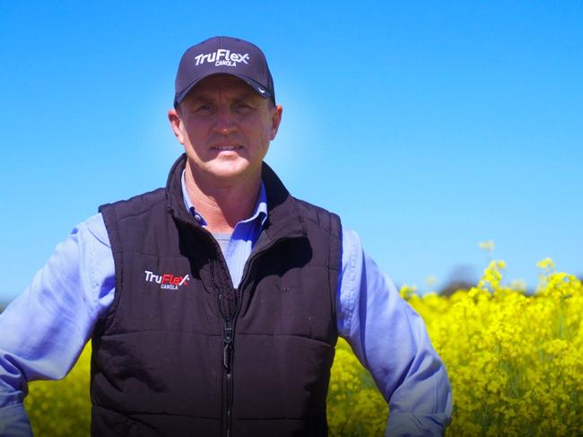 Bayer Market development agronomist Tim Murphy inspects the crops. Picture: Supplied