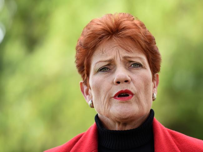 One Nation's Pauline Hanson labelled all Asians as unwelcome jn her first stint in the federal Parliament. Picture: AAP Image/Dan Peled