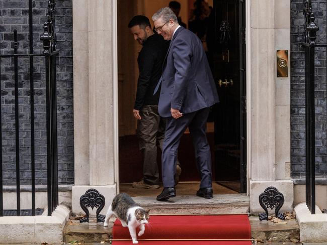 LONDON, ENGLAND - OCTOBER 10: Prime Minister Keir Starmer and Ukraine President Volodymyr Zelensky watch Larry the cat walk on the red carpet at Downing Street on October 10, 2024 in London, England. The Ukrainian President Volodymyr Zelensky and new NATO Secretary General Mark Rutte are meeting with British PM Keir Starmer. (Photo by Dan Kitwood/Getty Images)