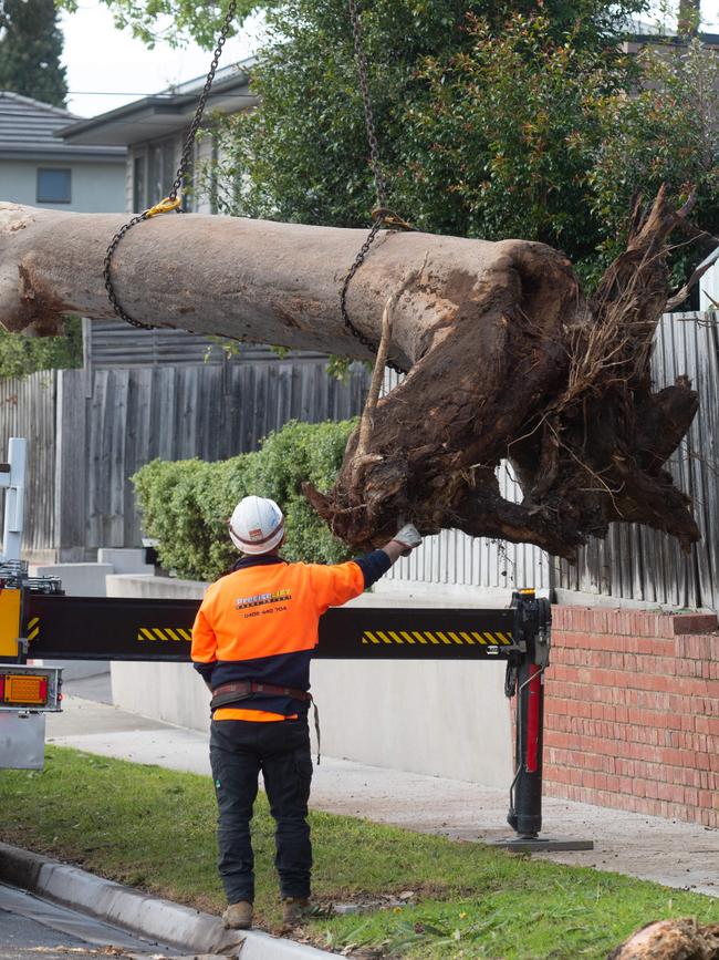 A truck takes away the trunk of the tree that fell on Ayan. Picture: Tony Gough