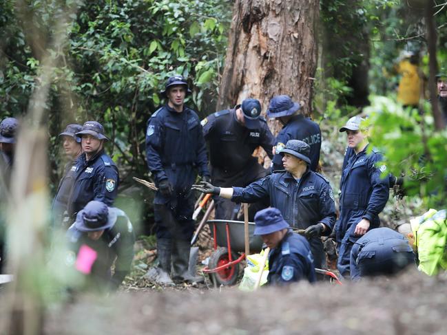 Strike Force Rosann detectives continue the search for William Tyrrell's remains in scrub near Kendall. Picture: NCA NewsWire / Peter Lorimer.