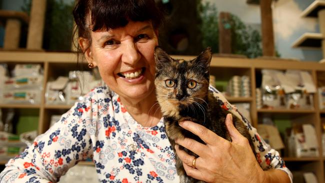 Avril Wildgoose with Elena the kitten at the RSPCA Care Centre. Pictures: Justin Sanson