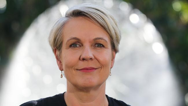 Environment Minister Tanya Plibersek. Picture: NCA Newswire/ Gaye Gerard