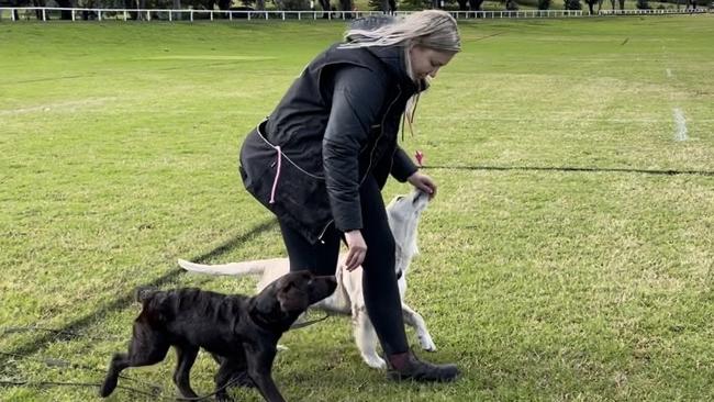 Donlan was released after seven months in custody on remand. Picture: Bark