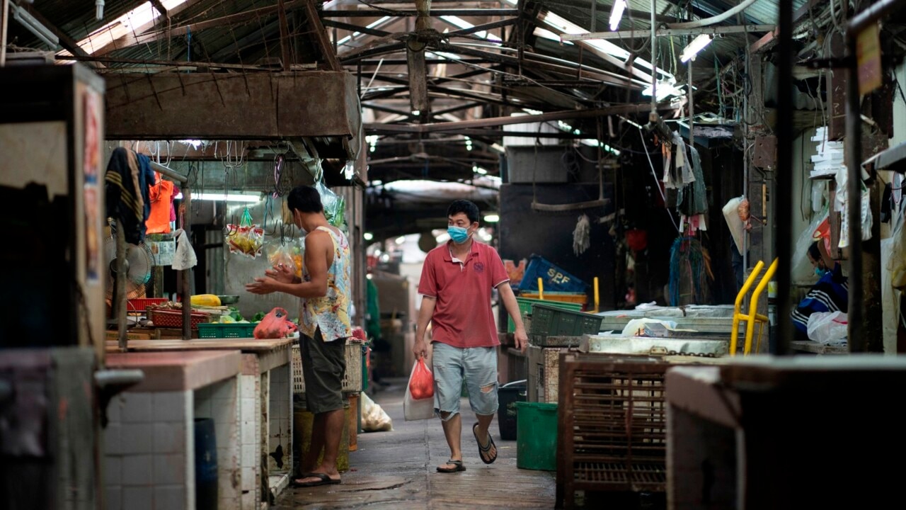 Shutting down wet markets 'won't stop risk' of virus