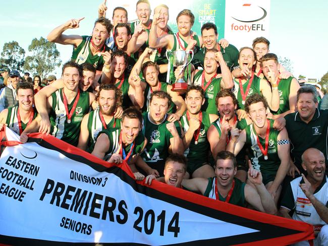 Wantirna South celebrates its 2014 flag. Picture: Janine Eastgate