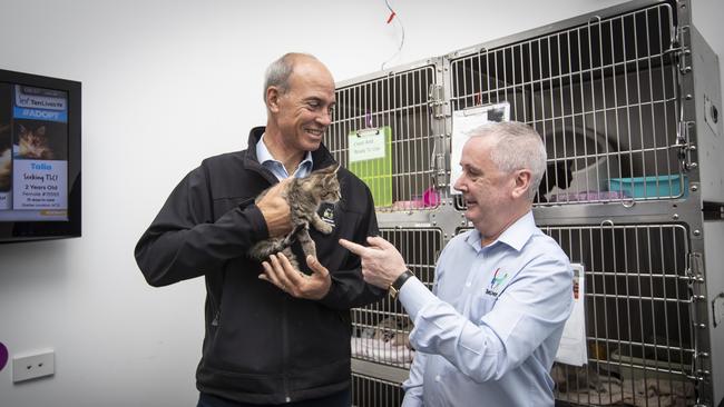 HELLO KITTY: Minister Guy Barnett visiting the Ten Lives Cat Centre to announce the Government's cat management plan. Pictured with Ten Lives manager Noel Hunt. Picture: LUKE BOWDEN