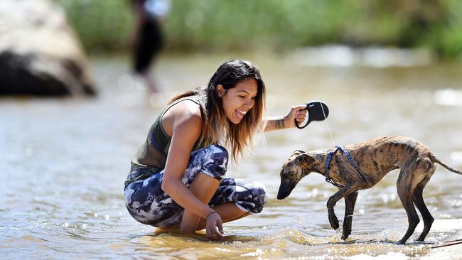 Jasmine Zapka with her whippet Paco enjoying Lillydale Lake during the day. Picture: Steve Tanner