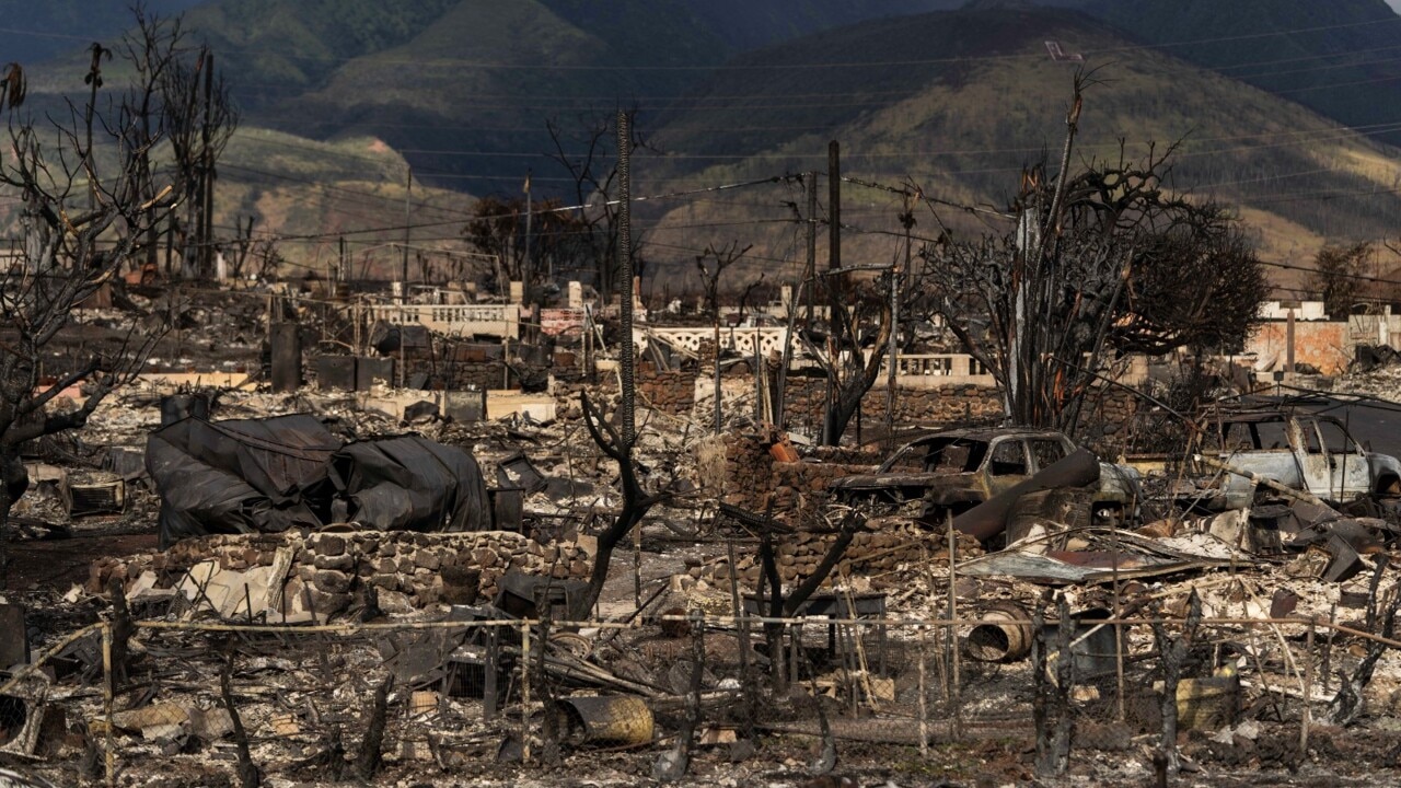 Hawaii wildfire property losses estimated at $6 billion | Sky News ...