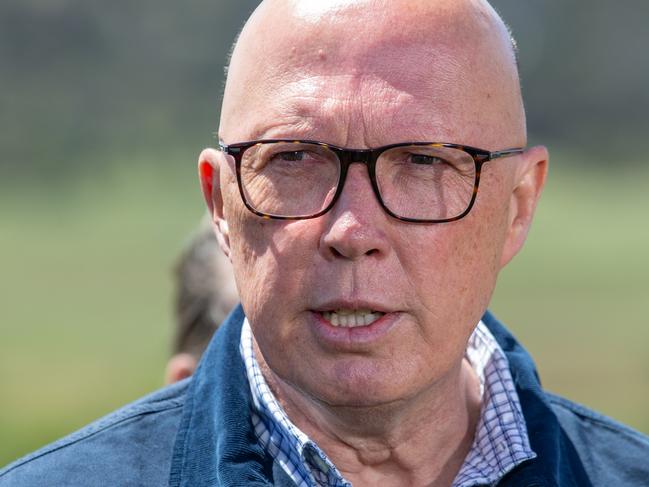 TASMANIA, AUSTRALIA - NewsWire Photos - Sunday, 10 November 2024:  Leader of the Opposition Peter Dutton at Littlewood Berry Farm in Richmond, Tasmania. Picture: NewsWire / Linda Higginson