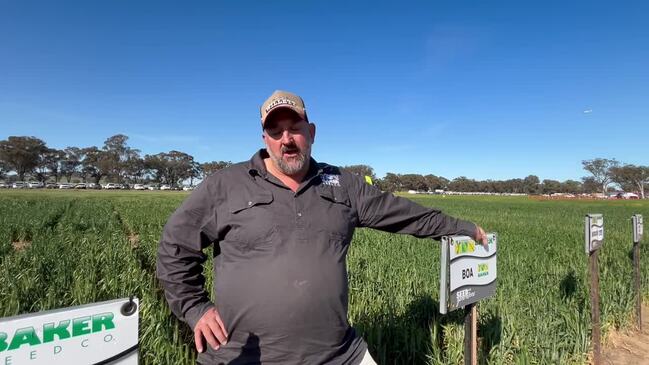 Frost on the minds of farmers at Henty Machinery Field Days