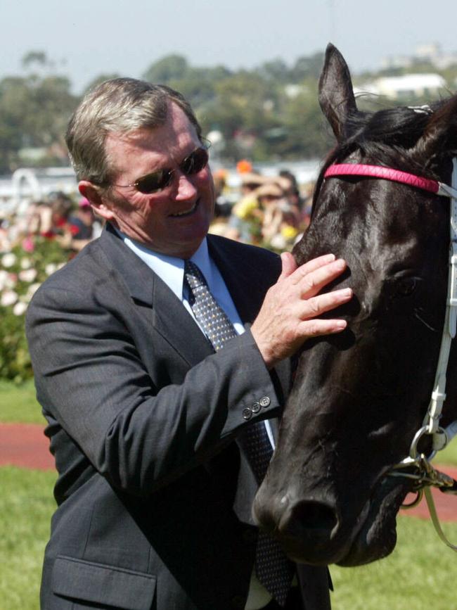 Racehorse Lonhro.