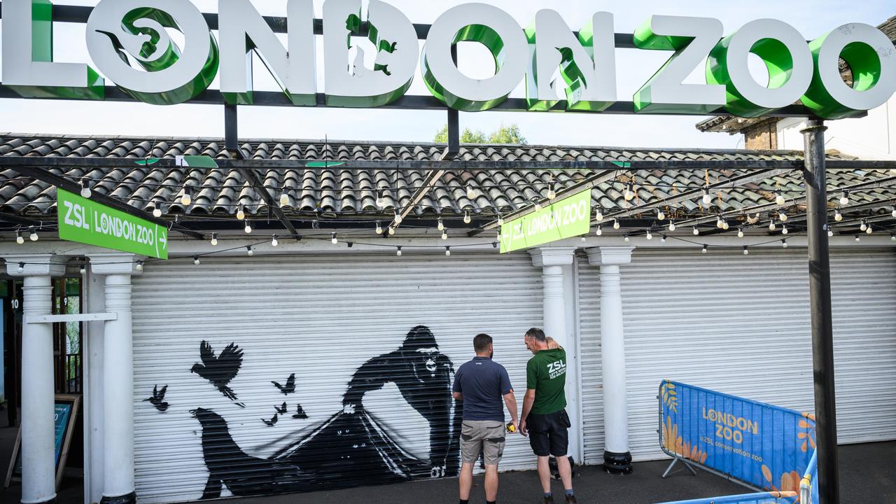 Workers were surprised to find a Banksy mural on the shutters at London Zoo. Picture: Leon Neal/Getty Images