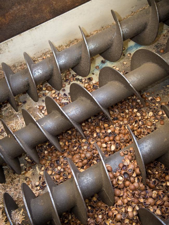 An image of an auger – a large screw used to move produce like grain or nuts.