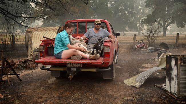 Sheep being rescued from Josh Collings property. Picture: Tony Gough