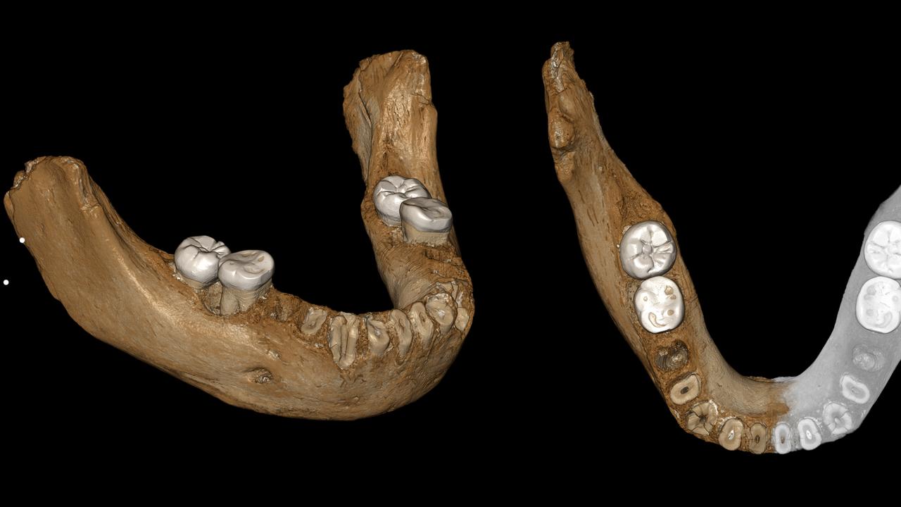 denisovan reconstruction