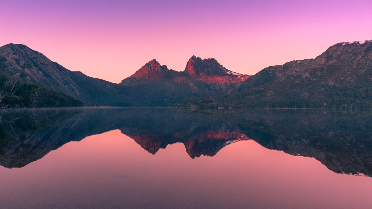 Apparently Americans see Tassie as a forager's playground.