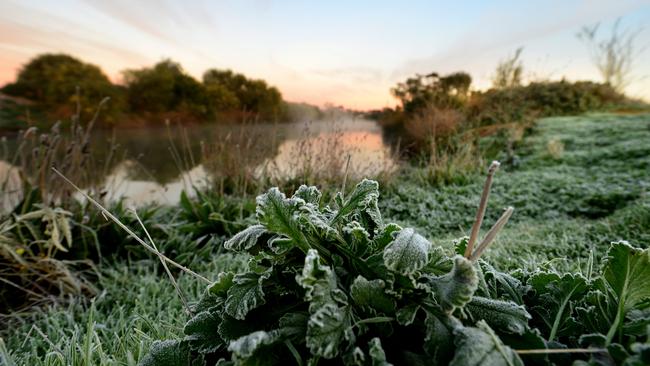 Cold frosty conditions at Munno Para Wetlands just after 7am. Picture: Sam Wundke