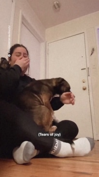 Dog has a heartwarming reaction to her adoption