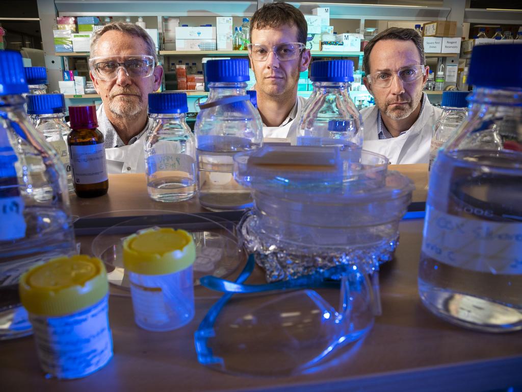 Professor Paul Young, Dr Keith Chappell and Professor Trent Munro in their UQ lab