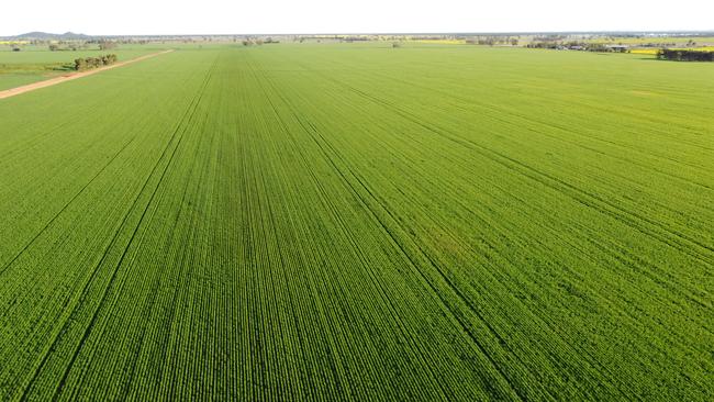 Duxton Farms are offloading their largest mixed cropping property, Kentucky, near Forbes NSW.