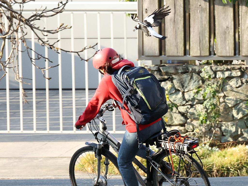 Cycling was the most attacked activity. Picture: Liam Kidston