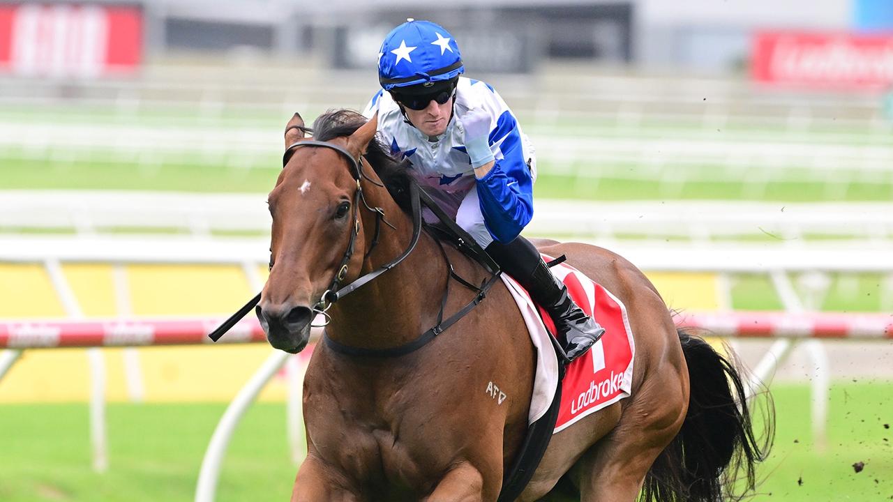 Hidden Wealth is a clear favourite for the Falvelon at Eagle Farm on Saturday. Picture: Grant Peters/Trackside Photography