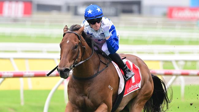 Hidden Wealth is a clear favourite for the Falvelon at Eagle Farm on Saturday. Picture: Grant Peters/Trackside Photography