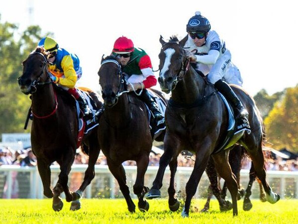 Overpass (right) clears away to defend his The Quokka crown. Picture: Western Racepix