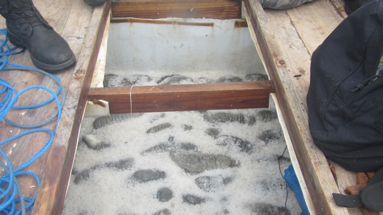 Sea cucumbers on foreign fishing vessel. Picture: Supplied/AFMA