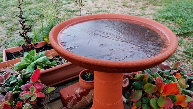 A frozen bird bath at Kulpara. Picture: Gay Lee