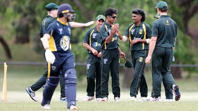 VSDCA: Donvale’s Ruan Jayaratne celebrates the wicket of Balwyn bat Aditya Narayana. Picture: George Sal