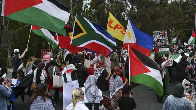 Pro-Palestine protest hits 100 day milestone