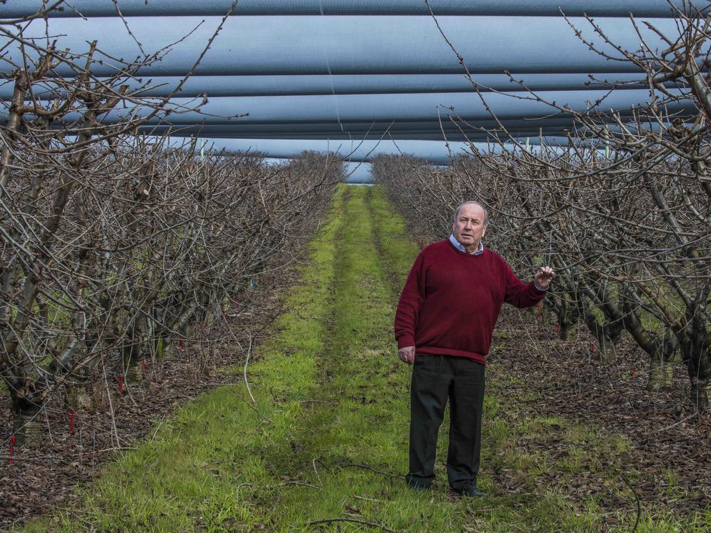 8. Tim Reid, Reid Fruits, Businessman, orchardist. Mr Reid received an AM in 2007 for services to industry. Described as a legend of Tasmania’s fruit industry, Tim built Reid Fruits, which was established by James Reid in 1856 into a major exporter. He remains the head of the company. In 2000, the company began producing cherries and sends them to more than 20 countries around the world. Was named Australia’s Farmer of the Year in 2013. Picture: CHRIS CRERAR