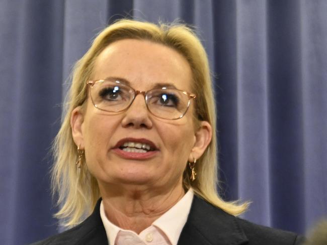 CANBERRA, AUSTRALIA  - NewsWire Photos - MAY 13, 2025: Newly elect Opposition Leader, Sussan Ley and Deputy Leader Ted O'Brien hold a press conference hold a press conference at Parliament House in Canberra. Picture: NewsWire / Martin Ollman