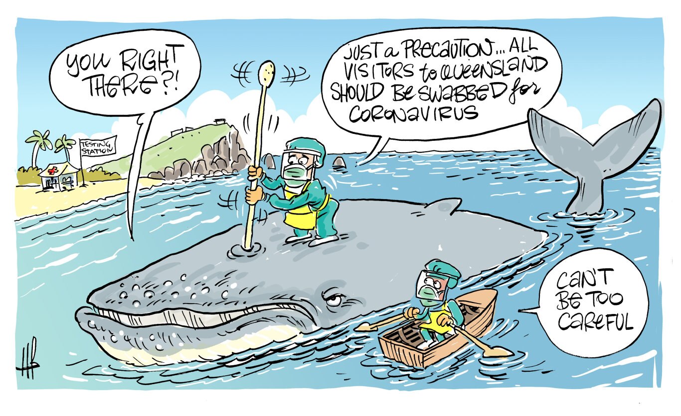 Cartoonist Harry Bruce's take on whales being spotted in Mackay.