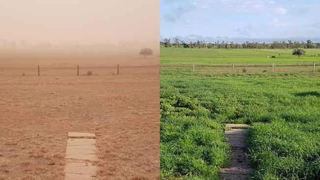 Incredible transformation gives hope to western graziers