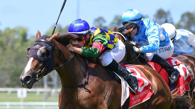 Cosmic Gossip winning at the Sunshine Coast. Picture: Trackside Photography