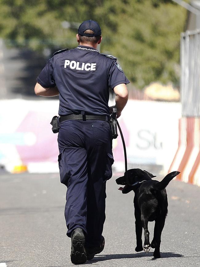 Detecting Monkey Dust is difficult because it is still new and it avoids being detected by sniffer dogs. 