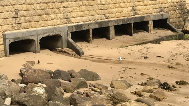 One of several major stormwater outlets which discharge straight into the waters of Terrigal Beach.