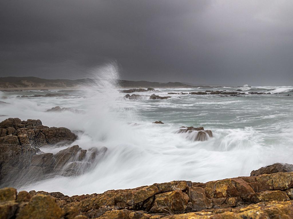 Your Focus on Tasmania.Tarkine Coast. Picture: Ron Rainbow ****ONE TIME USE ONLY****