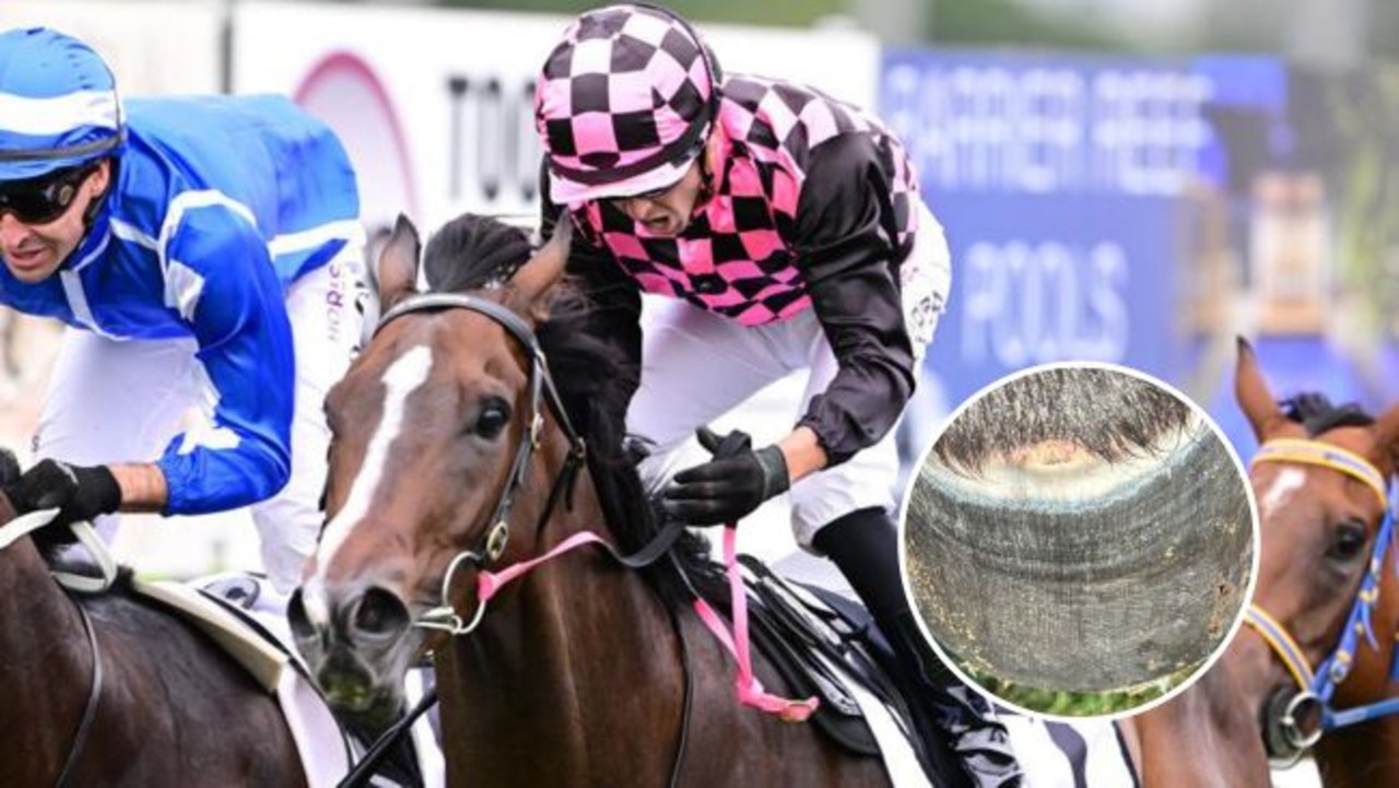 WATCH: Rothfire boosts hopes of Stradbroke ‘miracle’