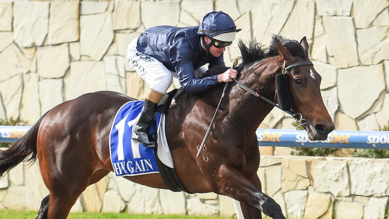 Conqueror took on some top gallopers in the spring. Picture: Getty Images